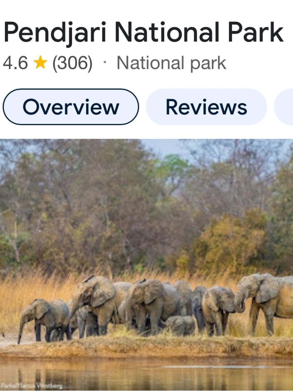 🇧🇯 4/30 Benin Thursday 🇧🇯 🐘🐡 Magnificent Sales All! 🐡🐘 - Picture 11 of 16